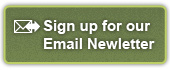 Email newsletter sign up